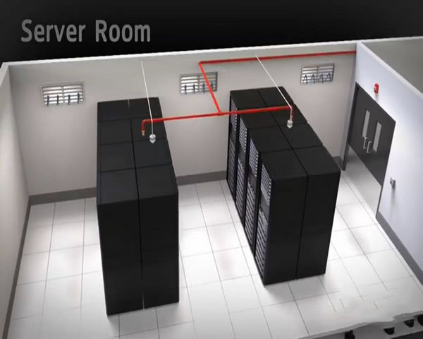 Recommended Best Platform For Purchasing Hong Kong Native Ip